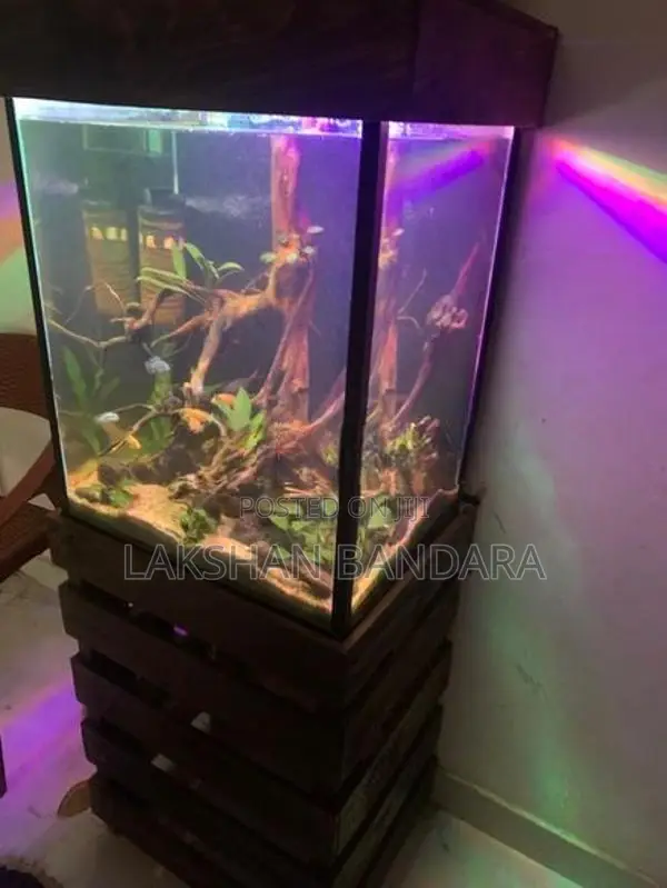 Fish Tank
