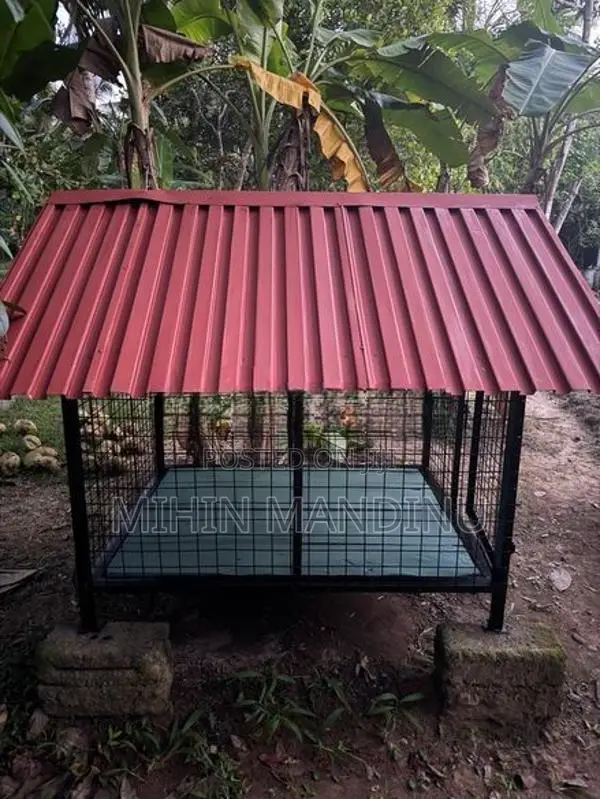 Dog Cage