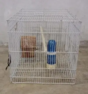 Bird Cage