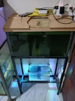 Fish Tank with Stand