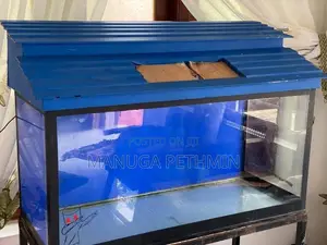 Fish Tank