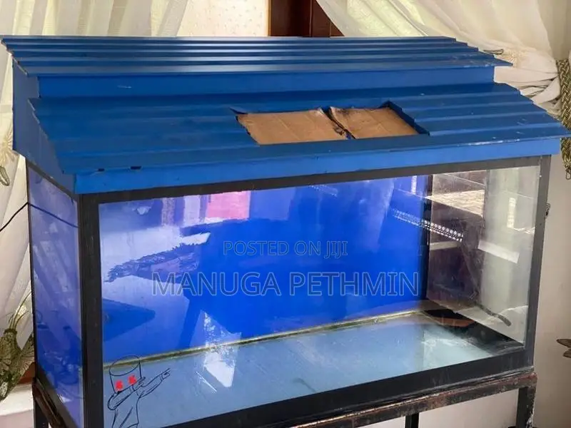 Fish Tank