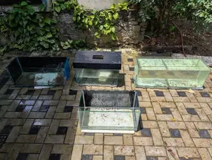 Fish Tank