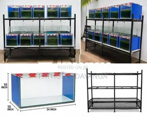 Fish Tank set with rack