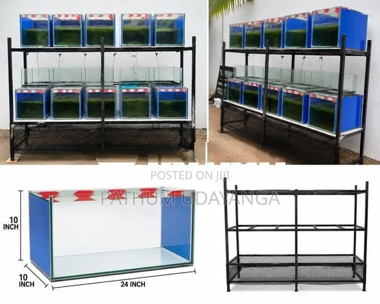 Fish Tank set with rack