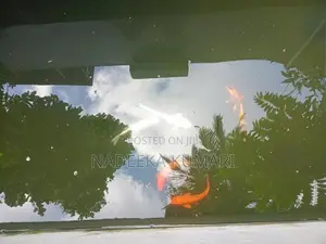 Koi Fish