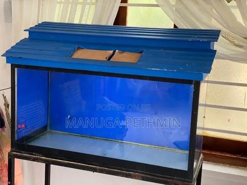 Fish Tank