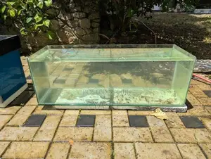 Fish Tank