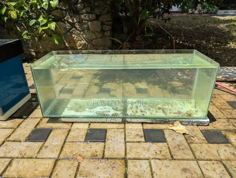 Fish Tank