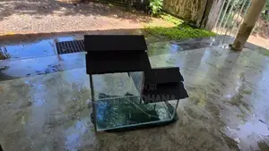 Fish Tank