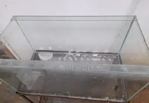 Fish Tank