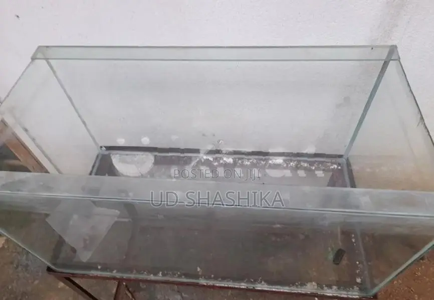 Fish Tank