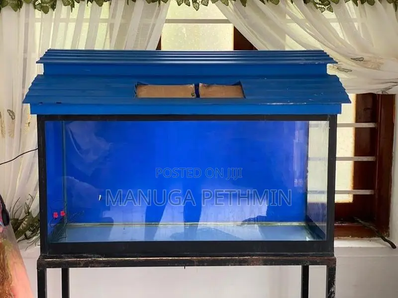 Fish Tank