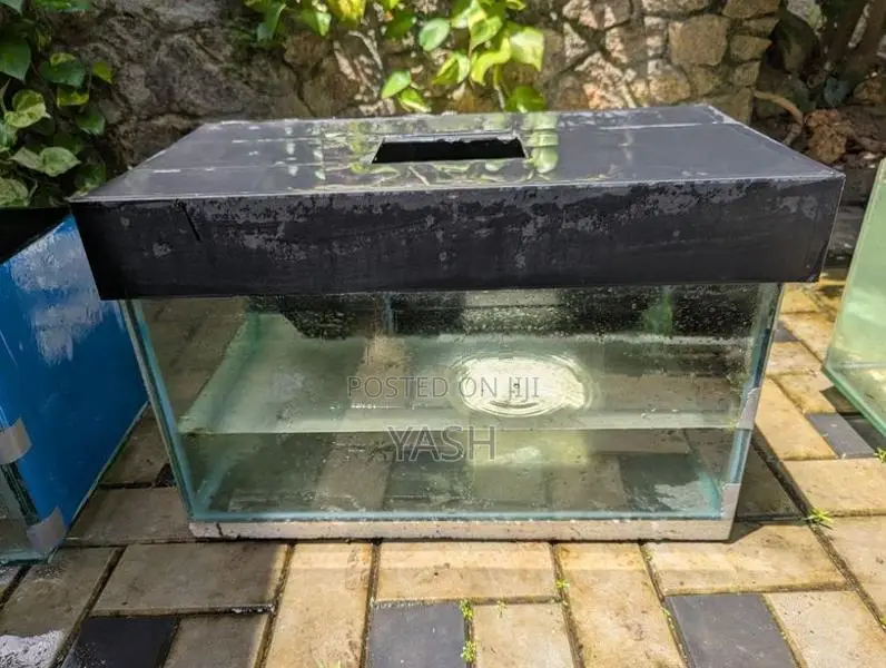 Fish Tank