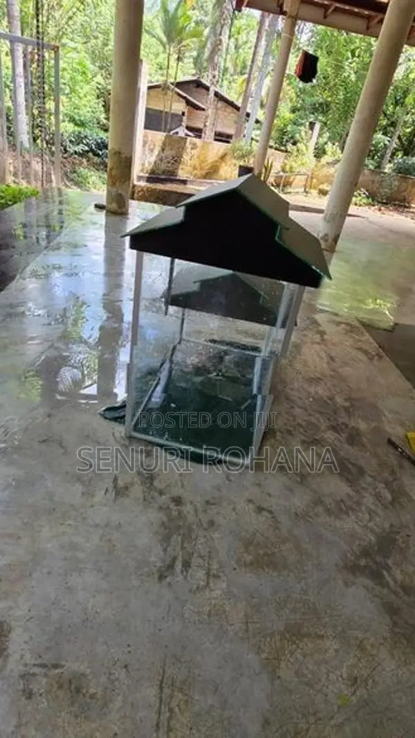 Fish Tank
