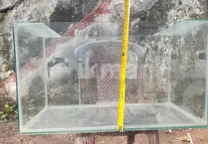 Fish Tank
