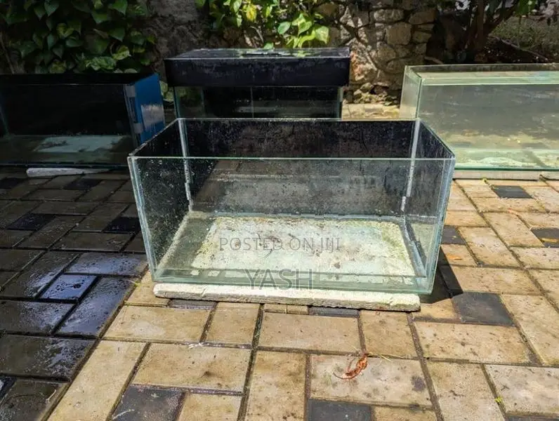 Fish Tank