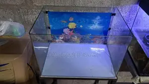 Fish Tank (Front Curved)