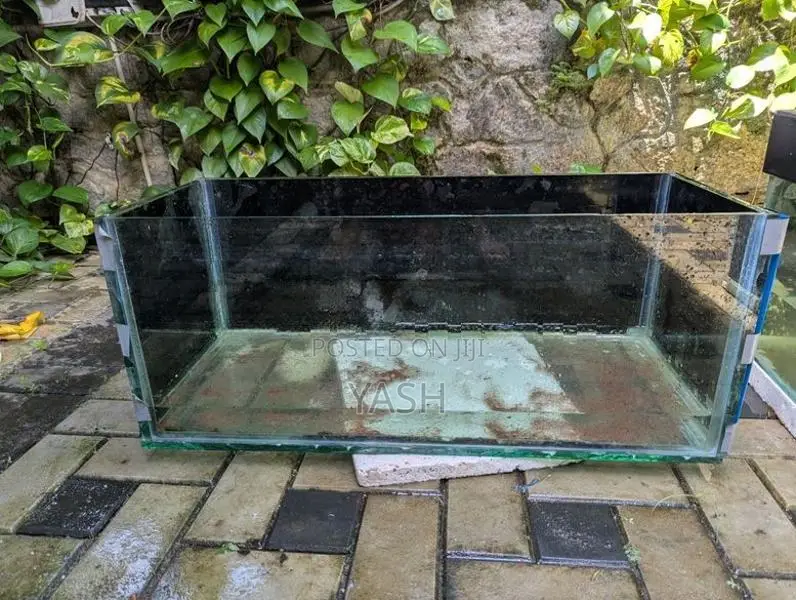 Fish Tank