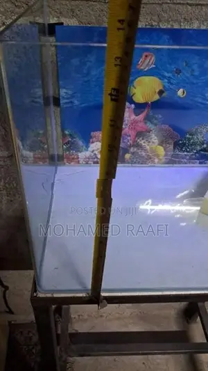Fish Tank (Front Curved)