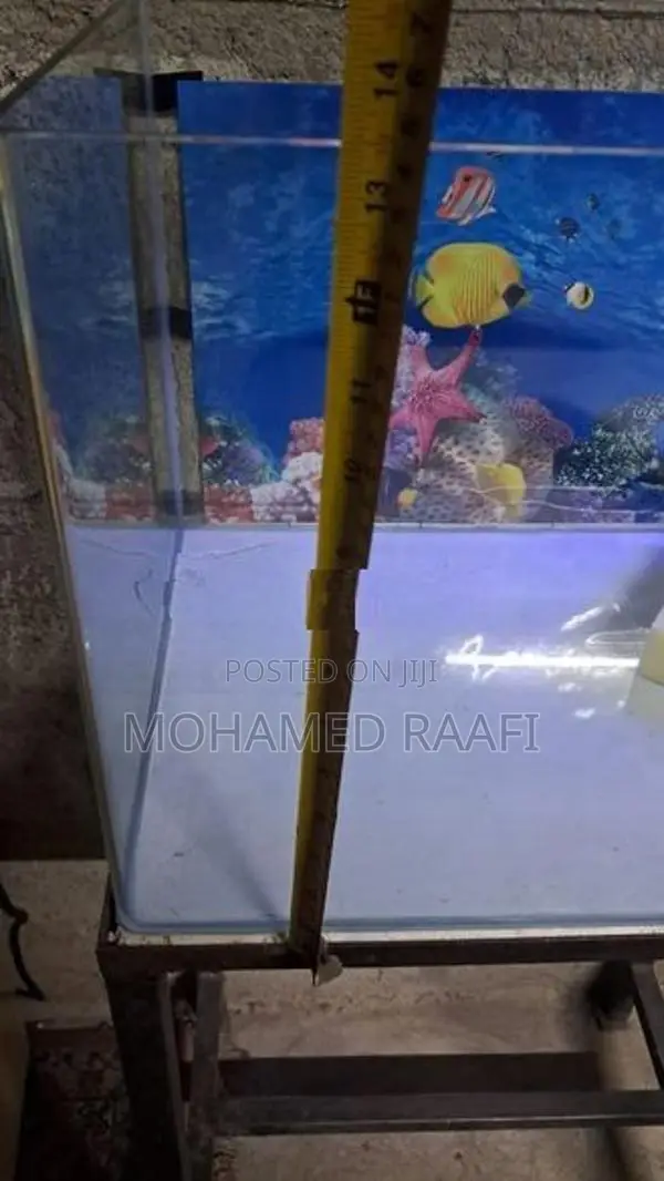 Fish Tank (Front Curved)