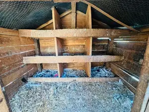 Pigeons cage