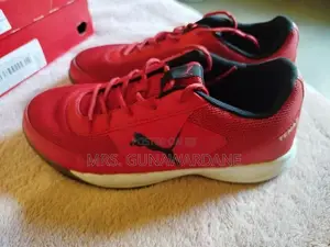 Badminton Shoes