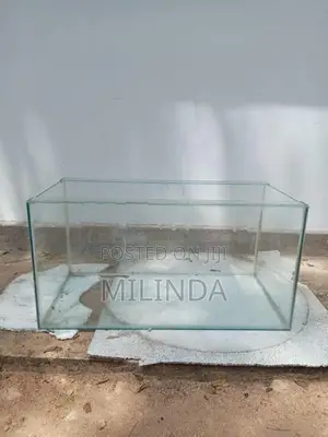 Fish Tank