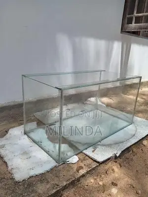 Fish Tank