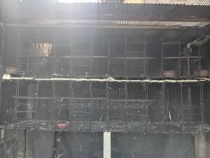 Bird Cage