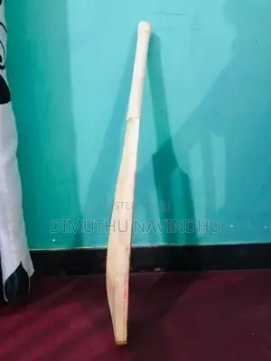 Cricket Bat