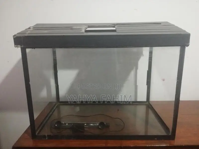 Fish Tank