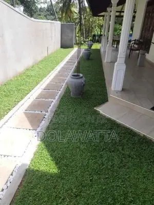 quality malaysian grass