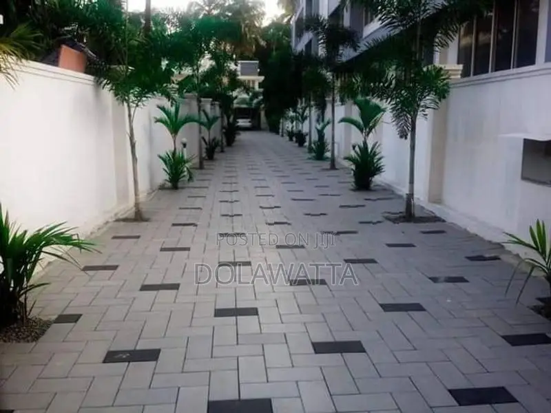 quality malaysian grass