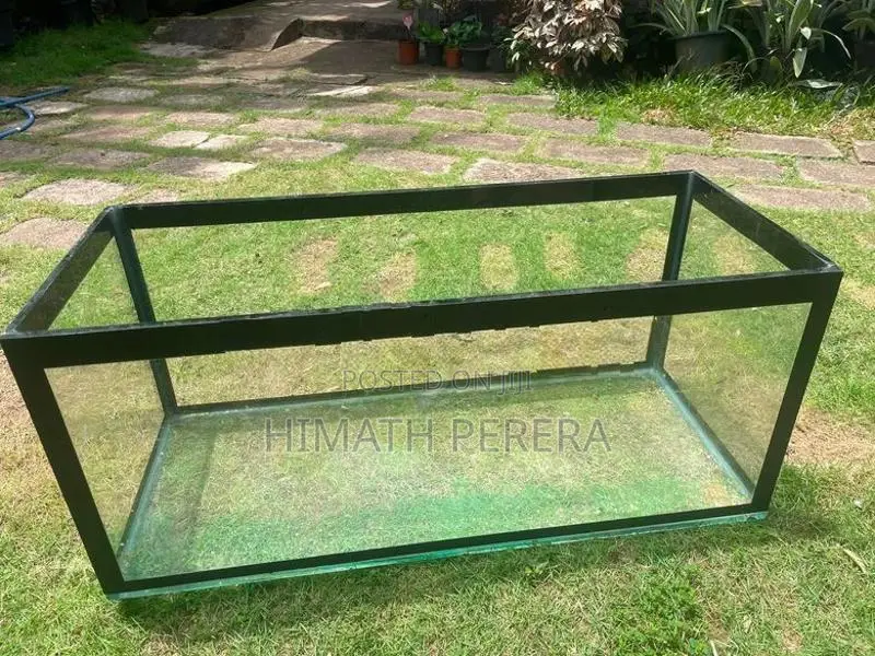 Fish Tank 3ft 12mm