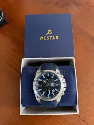 Wester Watch