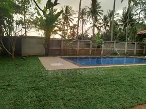 Malaysian grass