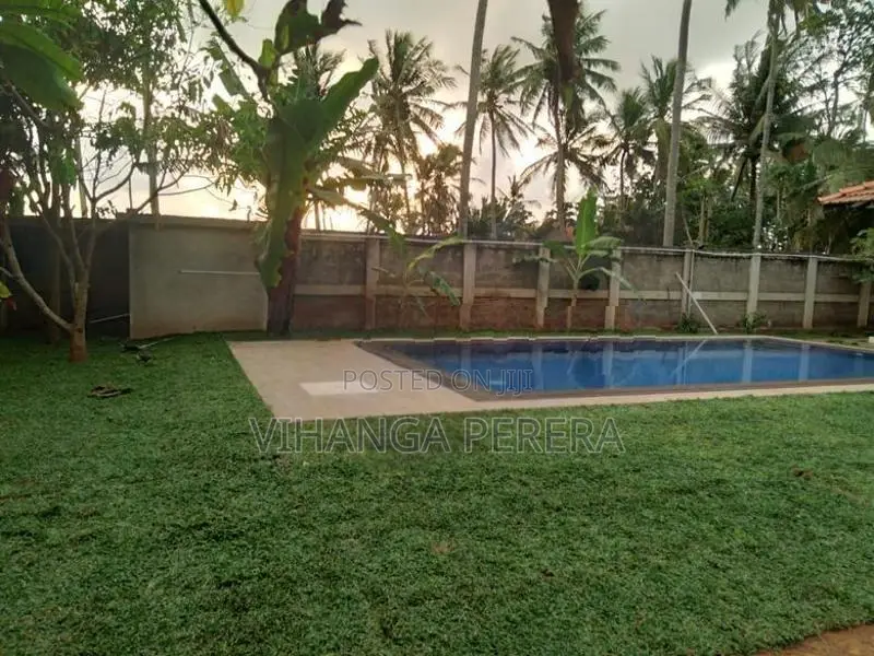 Malaysian grass