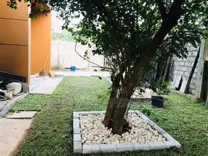 Malaysian grass
