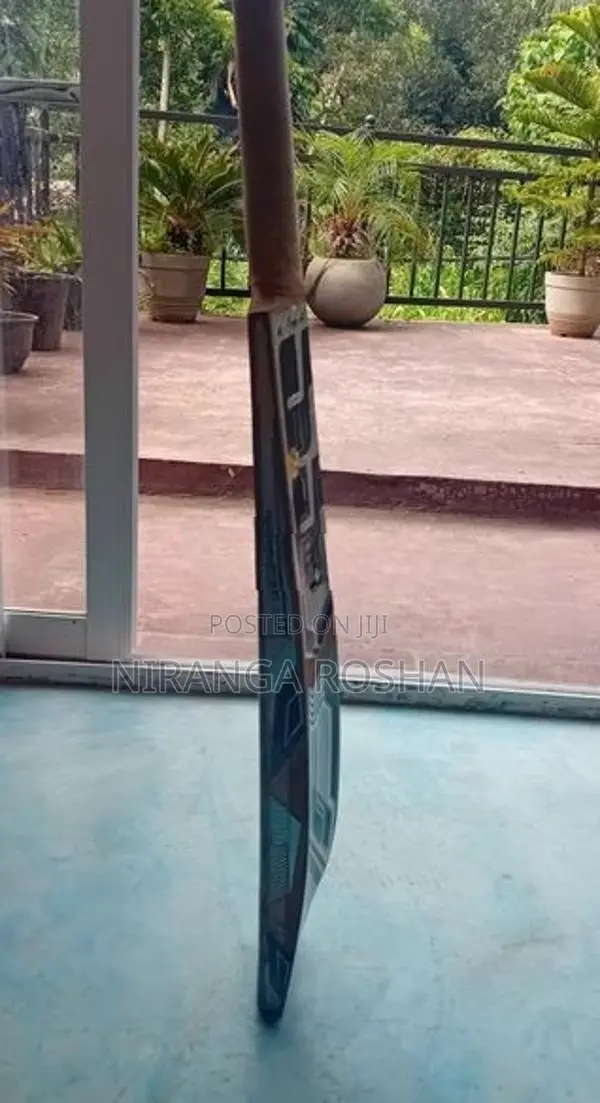 SS TON English Willow Bat