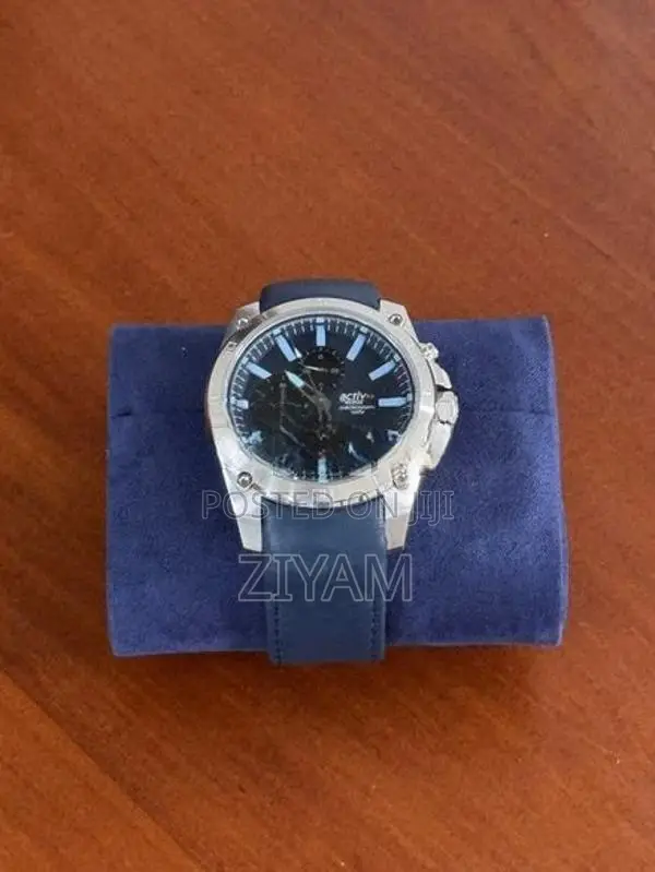 Wester Watch
