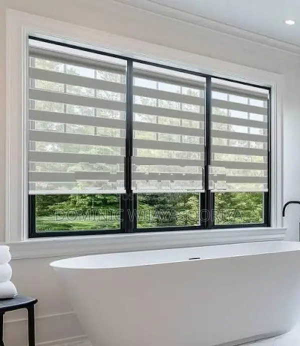 Zebra Blinds