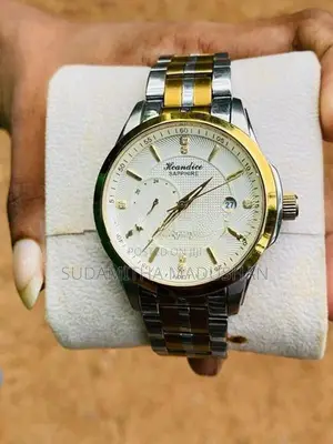 Hocandice atomatic watch