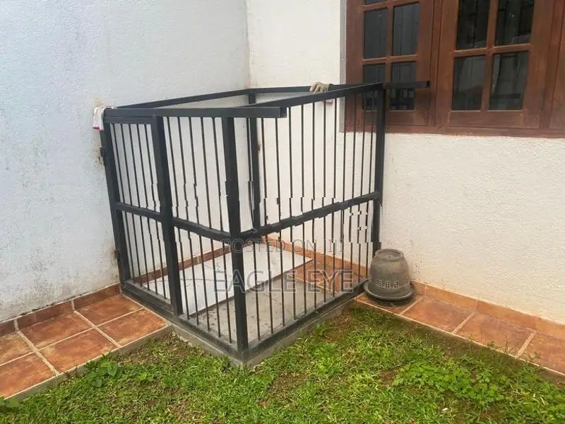 Dog Kennel