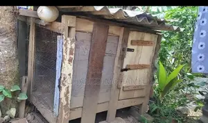 Cat Cage