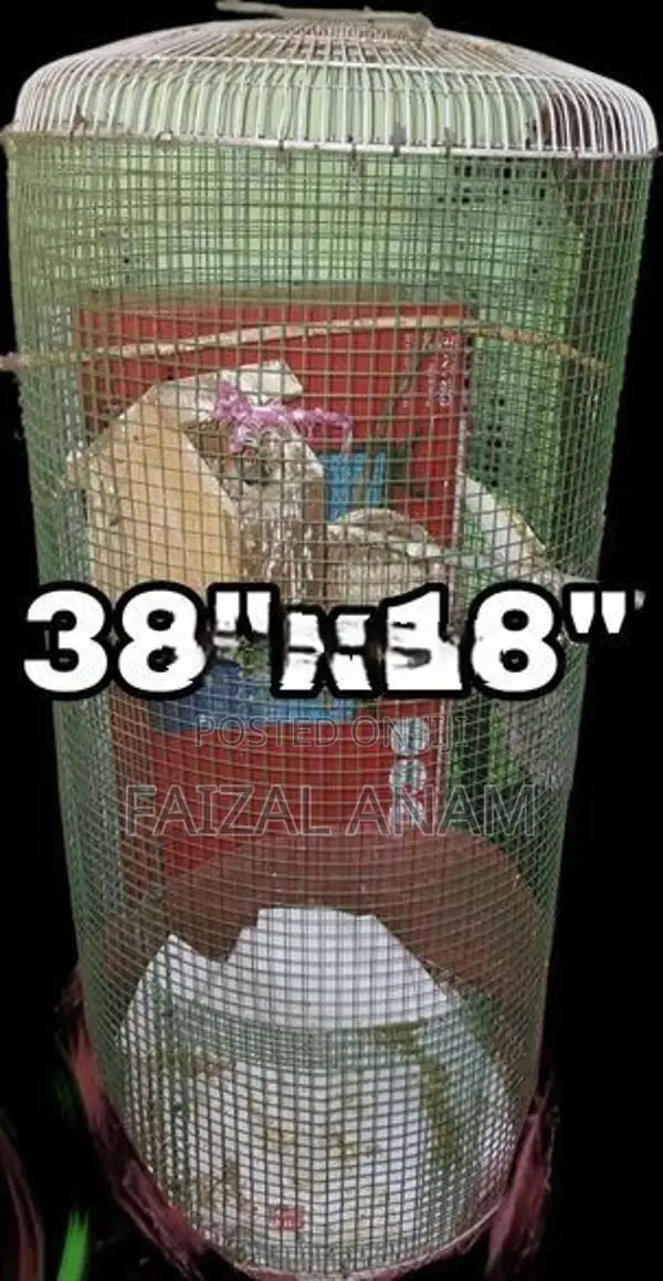 bird cages