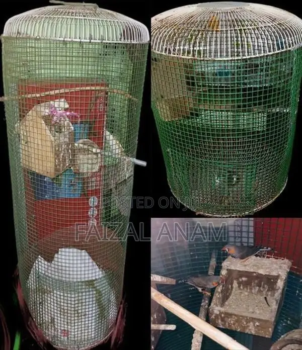 bird cages