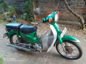 Hero 2011 Green