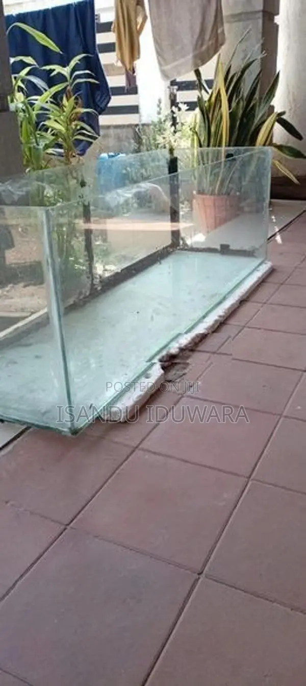 Fish Tank 5 Feet