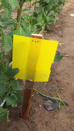 மஞ்சள் நிற ஒட்டுப்பொறி